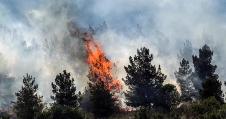 بالفيديو.. الشمال يحترق بصواريخ المقاومة!