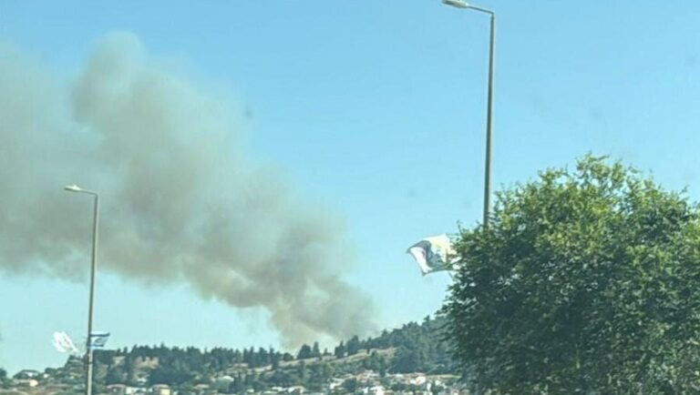 بالفيديو.. حريق كبير في “صفد”