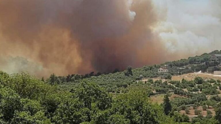 بالفيديو.. حريق كبير بأشجار حرجية في الأردن