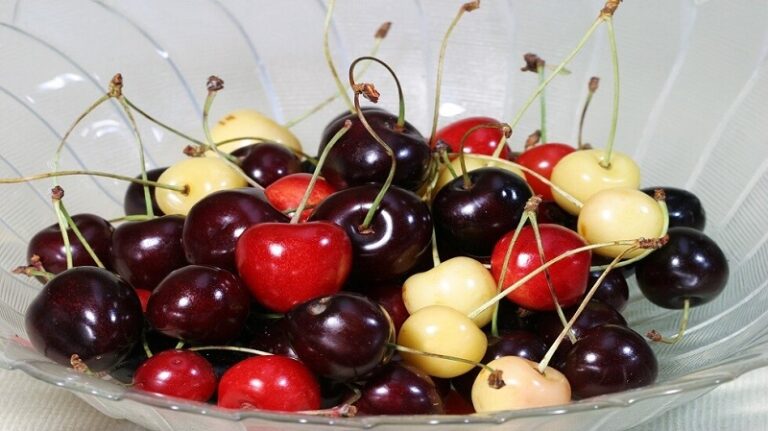 ما الفرق بين الكرز الأحمر والأصفر؟