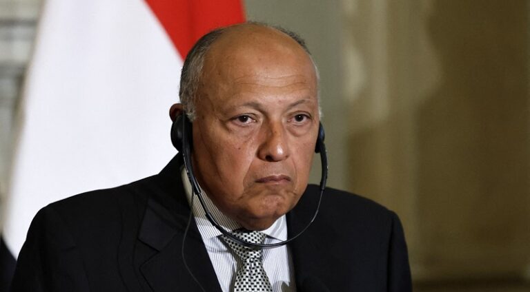 شكري: مصر تدعم كل جهد يهدف لإنهاء حرب غزة