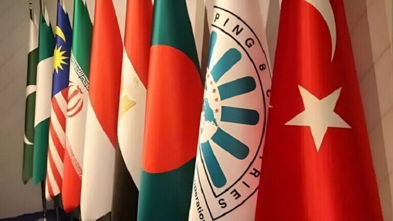 “مجموعة الدول الإسلامية”: جرائم الاحتلال في غزة وصمة عار على جبين “إسرائيل”