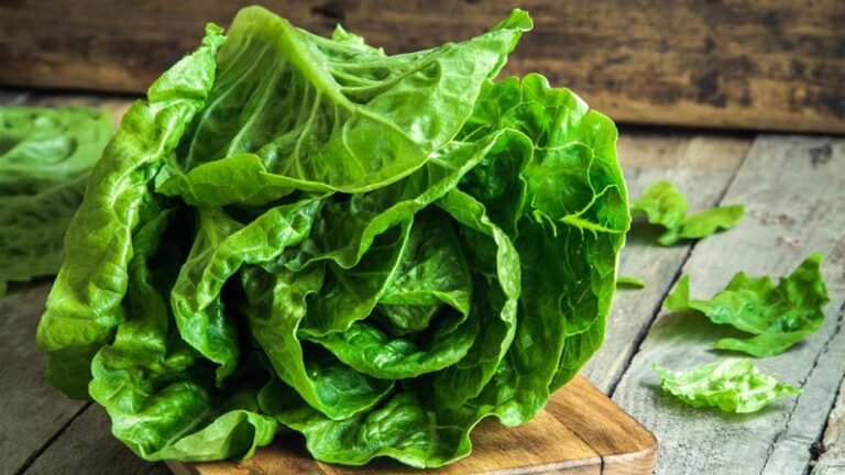 حيلة للحفاظ على قرمشة الخس