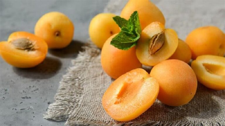 فوائد تناول المشمش