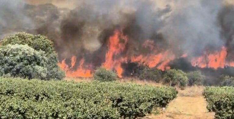 بالفيديو.. حريق في “ديشون”