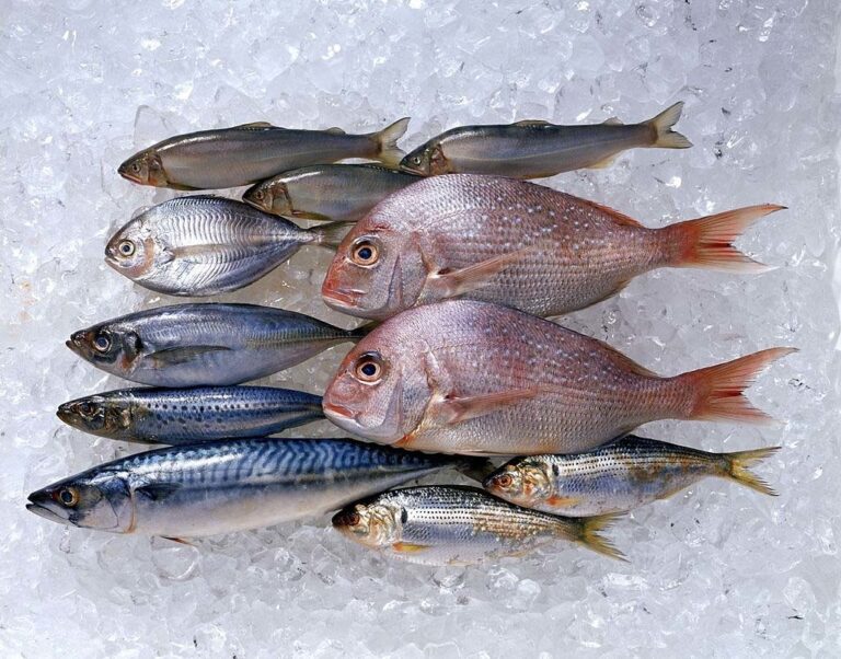 ما هي أفضل أنواع السمك لتناولها في الصيف؟