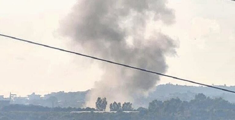 قصف على برج رحال والعباسية والقاسمية والحوش والبازورية (فيديو)