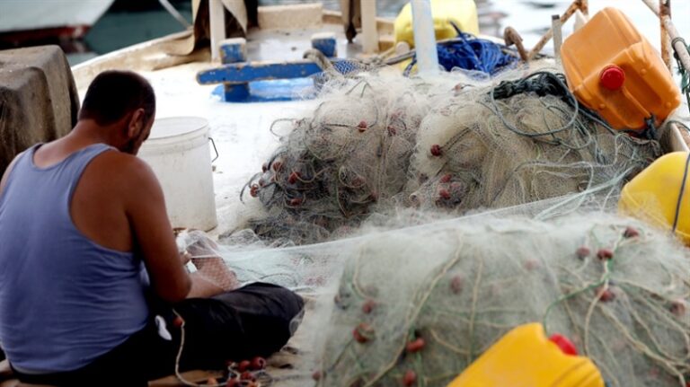 مستوردو السمك يرفعون أسعاره ثلاثة أضعاف