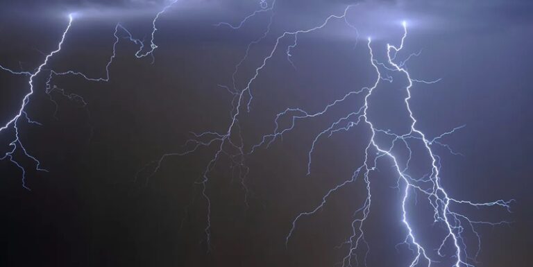 نهاية مأساوية لشهر العسل!