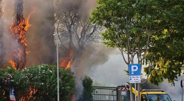 بالفيديو.. حريق هائل في روما