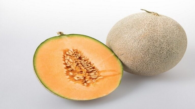 فوائد وأضرار الشمّام