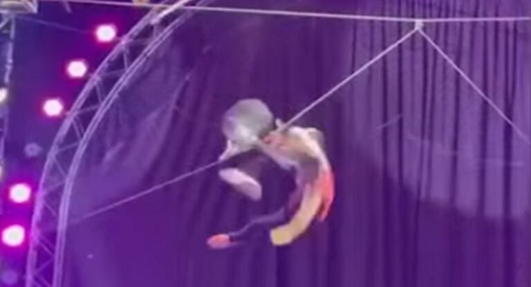 مصرع لاعب سيرك روسي بحركة بهلوانية خطيرة! (فيديو)