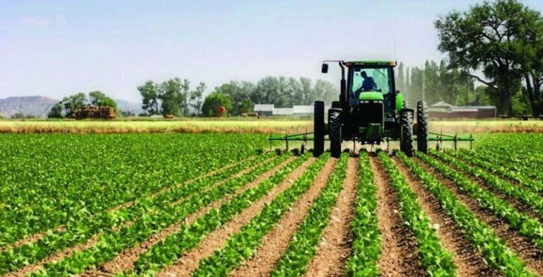 “الزراعة”: لا قيود على التصدير