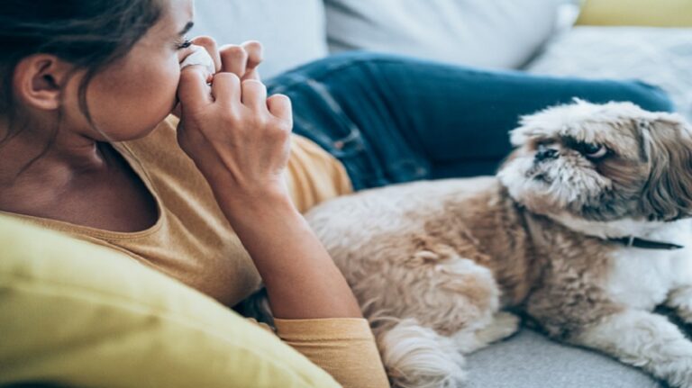 الكلاب تعاني من “العدوى العاطفية”!