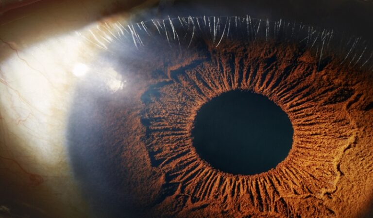 أحجام حدقة العين تتغير أثناء التنفس؟