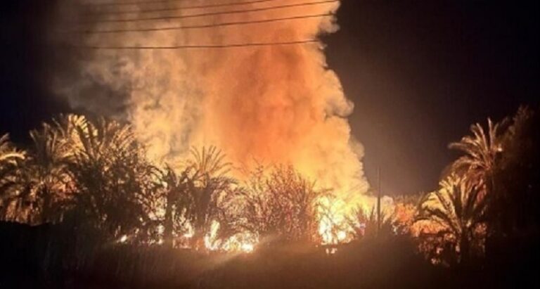 حرائق غابات في اليابان.. ومقتل شخص