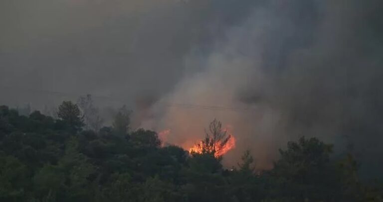 3 قتلى بحريق غابات في تركيا