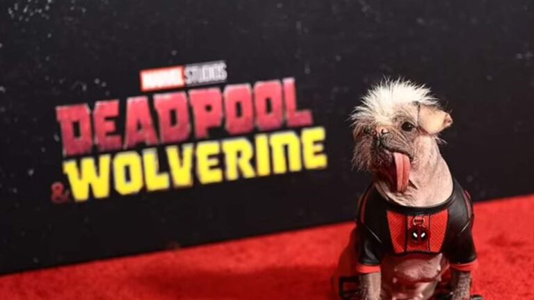 “بيغي القبيحة” تصل إلى العالمية!