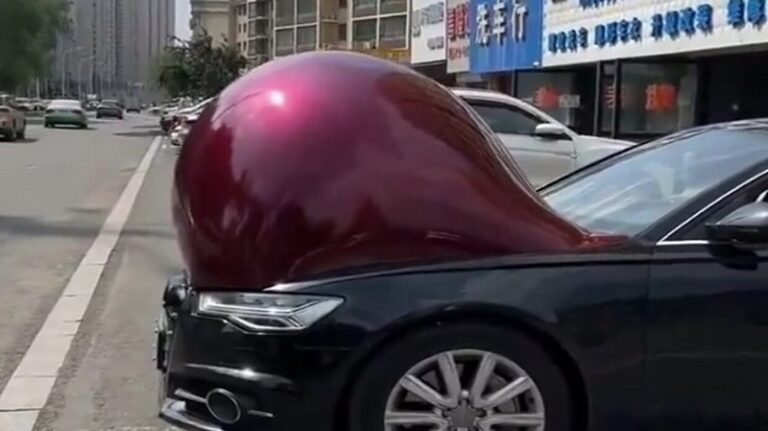 بالفيديو.. “السيارات الحوامل” في الصين!