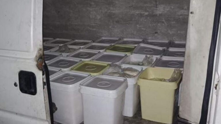 مصادرة 32 تنكة جبنة مهربة من سوريا