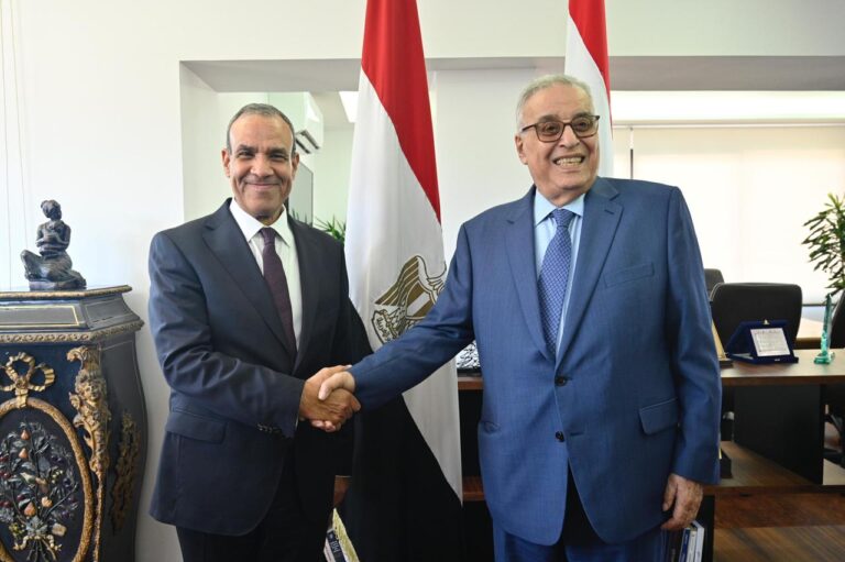 عبد العاطي: استقرار لبنان هو مصلحة عربية