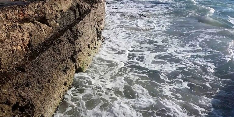 رحلة سياحية تتحول إلى مأساة في إسبانيا