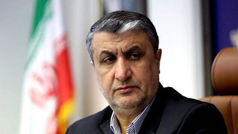 رئيس منظمة الطاقة الذرية الإيراني نائباً للرئيس