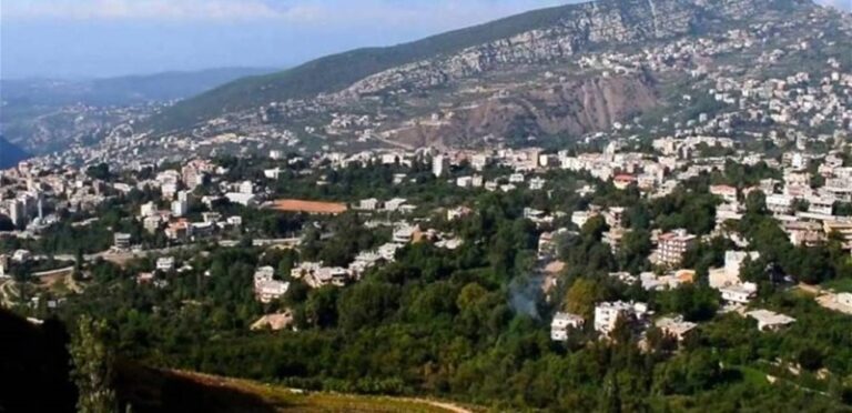 جريح بإشكال عائلي في بحنين – المنية