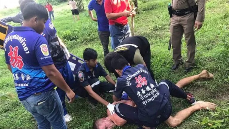 خلع ملابسه واتجه نحو بقرة (فيديو)