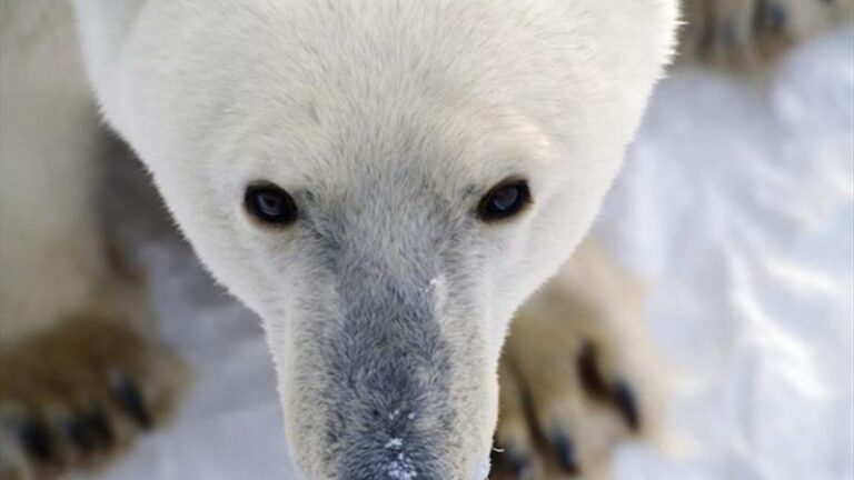 رجل يواجه هجوماً عنيفاً عواقبه وخيمة!