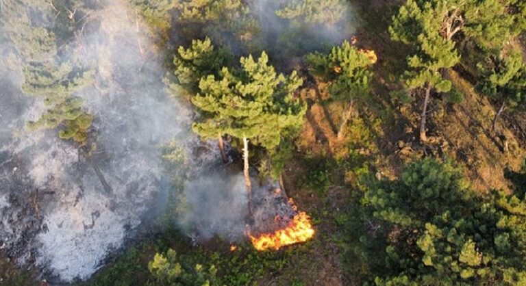 بالفيديو.. حريق في غابات عين يعقوب العكارية