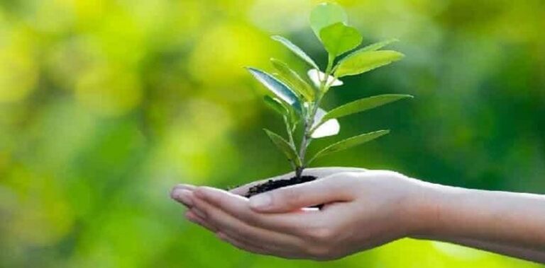 “الاقتصاد الأخضر” حلم بعيد المنال