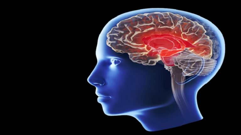 وجبة غذائية شائعة تزيد خطر الإصابة بالخرف