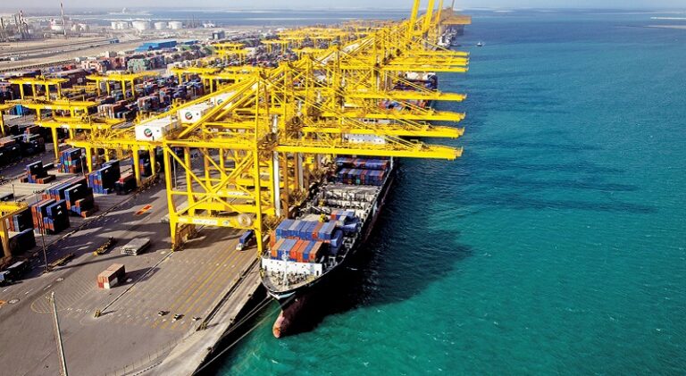 “موانئ دبي” تخسر 60%