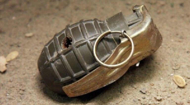 قنابل يدوية في برقايل العكارية