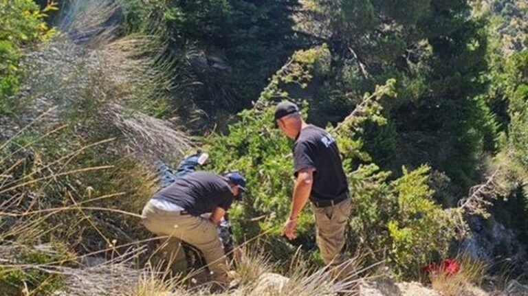 حادث سير مروع يودي بحياة عائلة في بشري (فيديو وصورة)