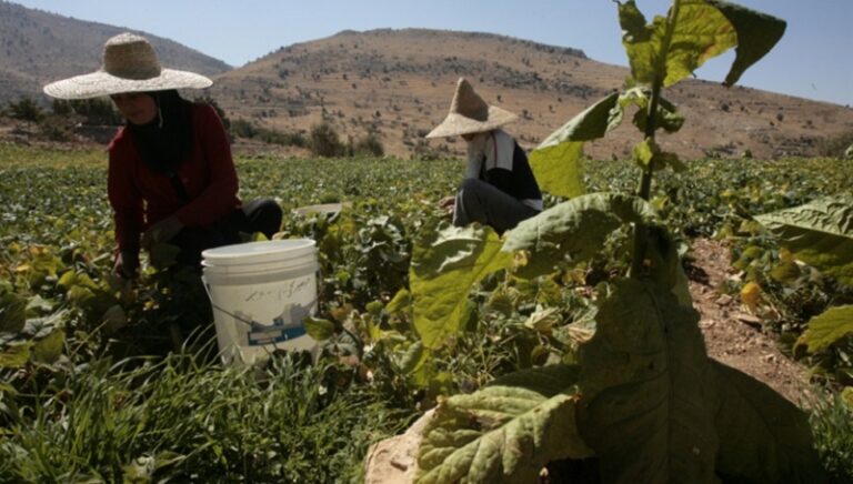 المنظمات الدولية تهوّل: “مجاعة” في لبنان