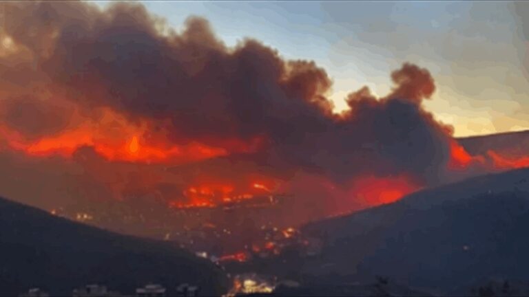 بالفيديو.. حريق الغابات يمتد إلى المناطق السكنية في ازمير التركية