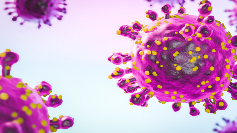 ما هي حمى  “الكسلان”؟