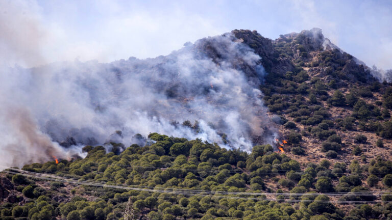 إعلان حالة الطوارئ لمواجهة حرائق الغابات في تركيا