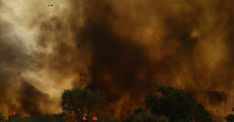 بالفيديو.. حرائق الغابات تمتد في البرازيل!
