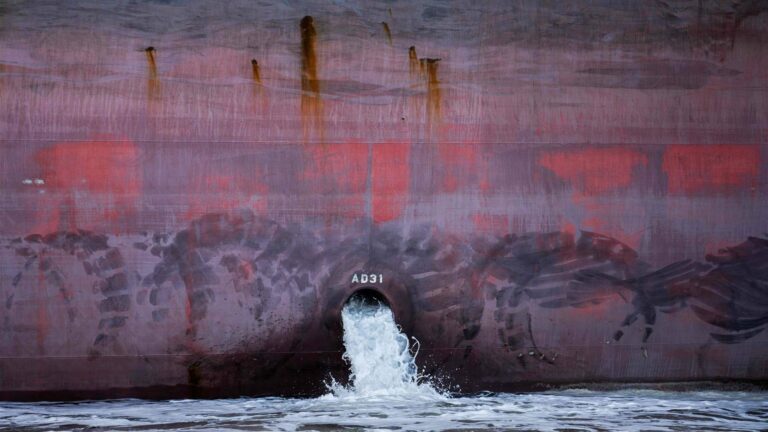 تطبيق هاتفي يساعد الصيادين على رصد تلوث المياه؟