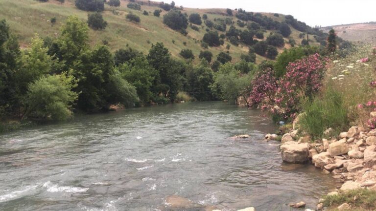 “مزارعو الجنوب”: لإعطاء موظفي مصلحة الليطاني حقوقهم