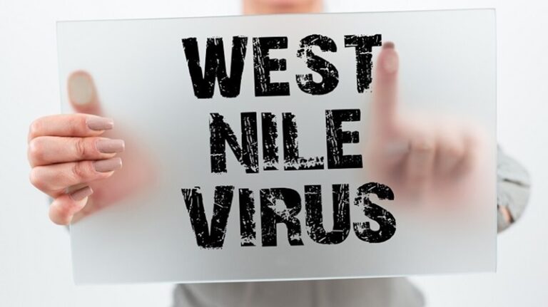 9 إصابات بحمى “غرب النيل” جنوب إسبانيا