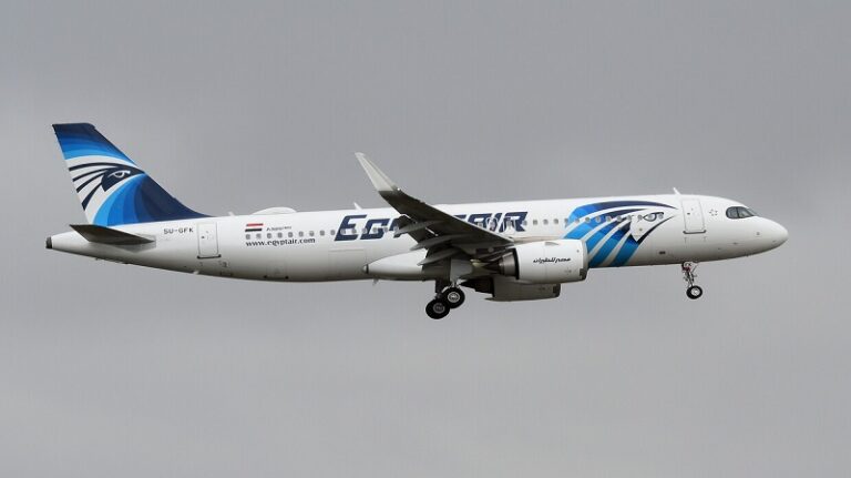 تعطل التكييف وذعر داخل طائرة مصرية! (فيديو)