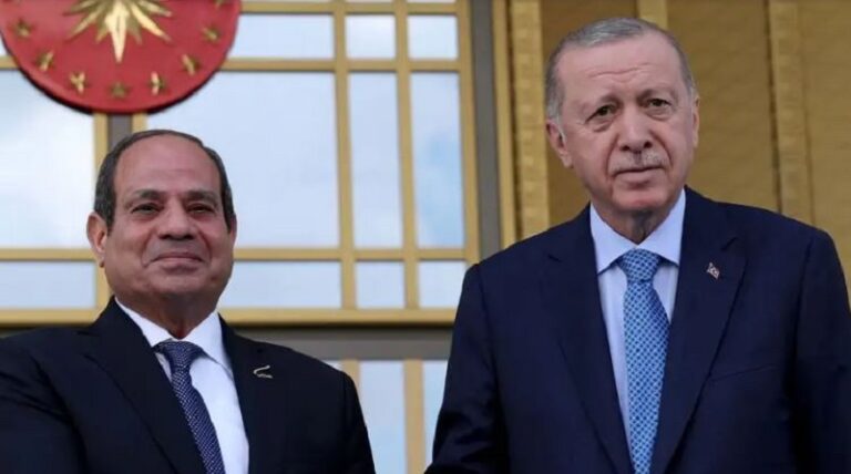 أردوغان والسيسي أكدا رغبتهما في تعزيز تعاونهما