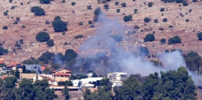 تضرر المزروعات بقرى في قضاء صور