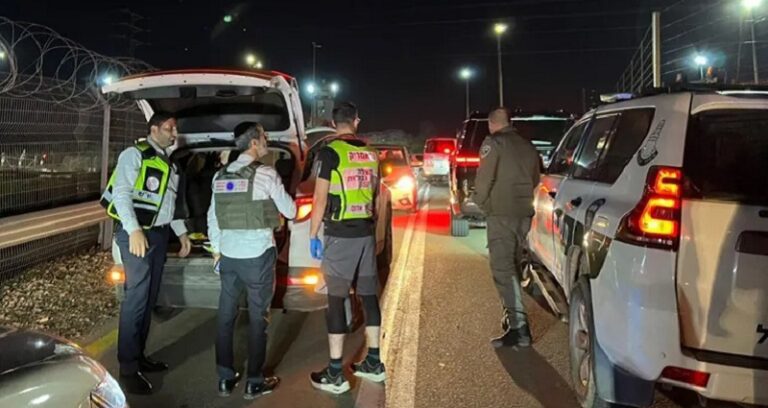 عملية دهس قرب الحدود المصرية.. وإصابة جنود للعدو