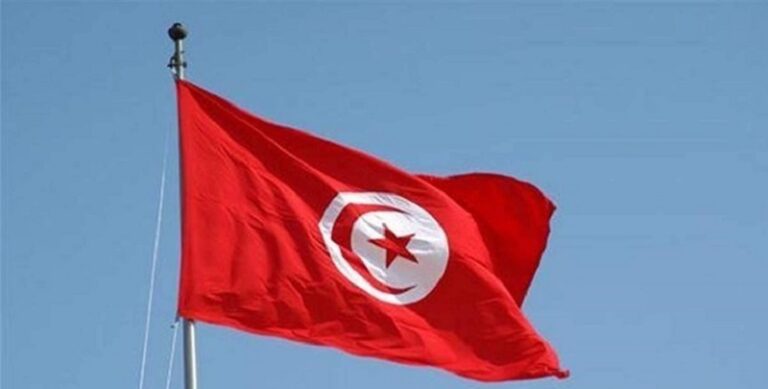 رفع علم تركيا عن طريق الخطأ في تونس!