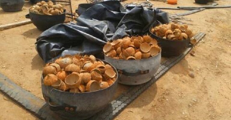 إعفاء استيراد قشور جوز الهند من الرسوم الجمركية